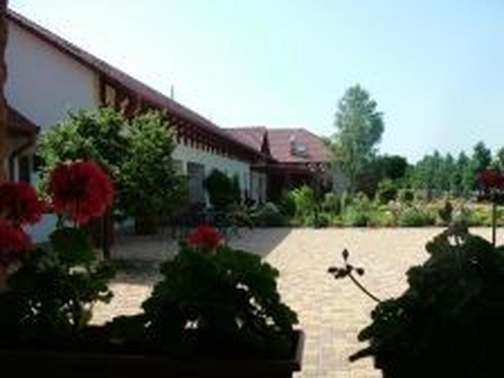 Verba Tanya Bed & Breakfast Kotaj Dış mekan fotoğraf