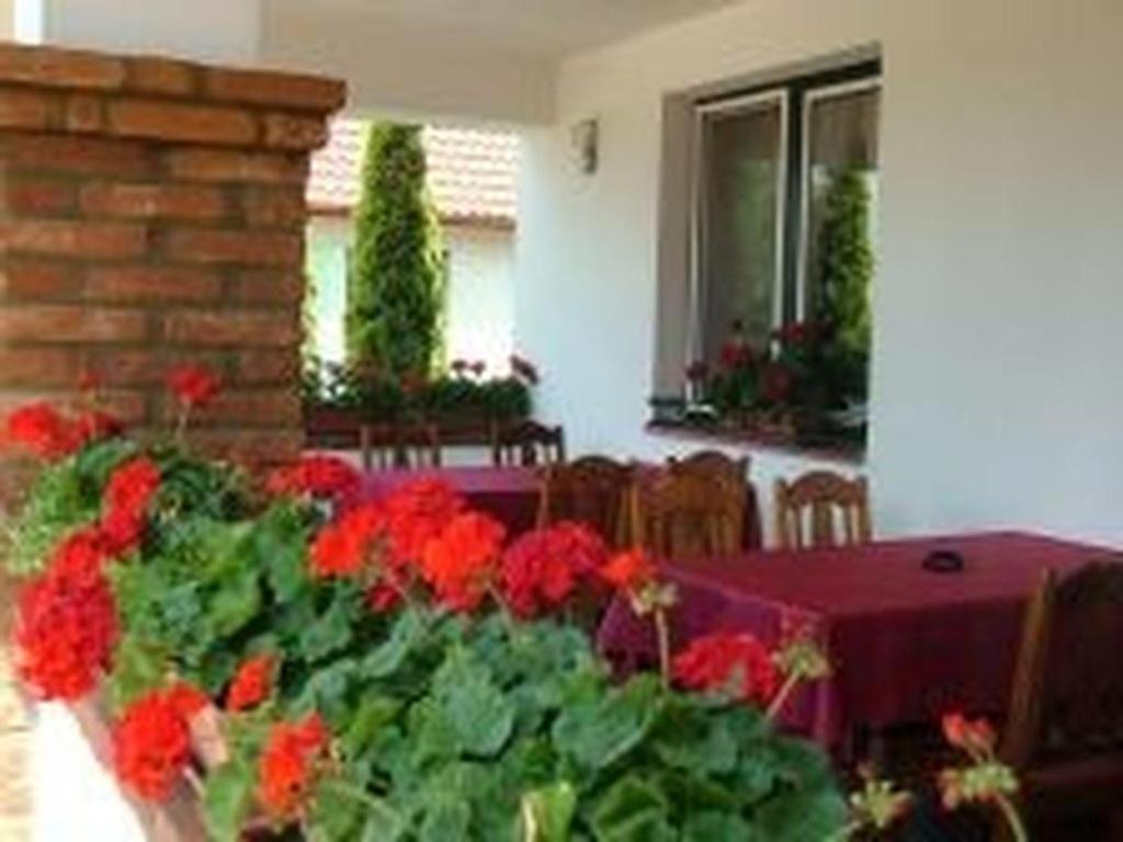 Verba Tanya Bed & Breakfast Kotaj Dış mekan fotoğraf